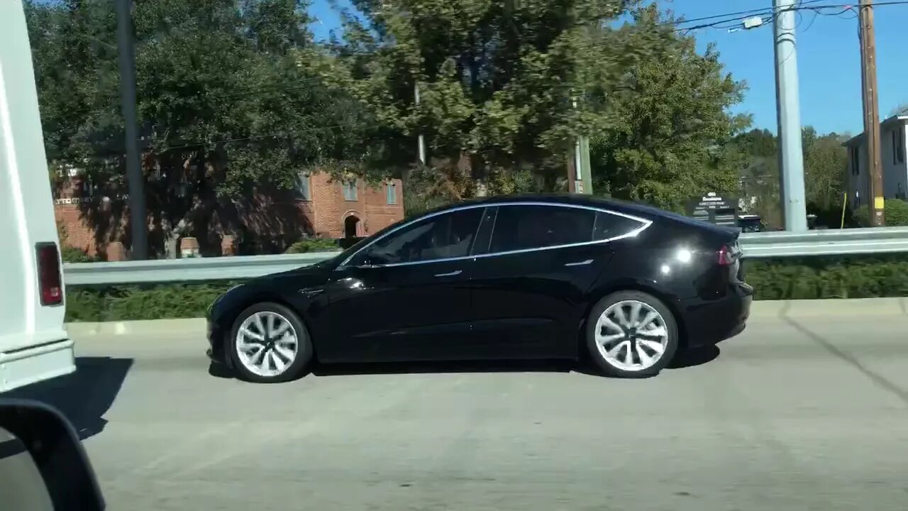 Seeing A Model 3 in the Wild & Freaking Out!!!