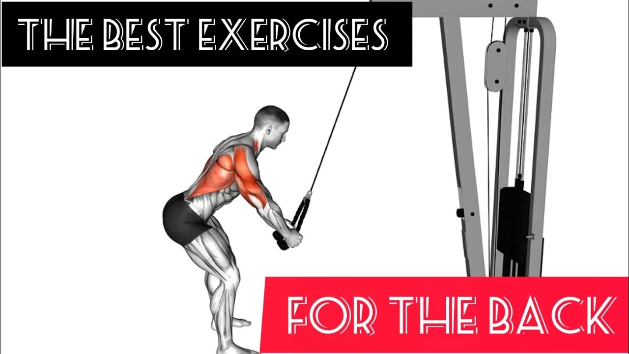 The best exercises for the back(6 exercise)