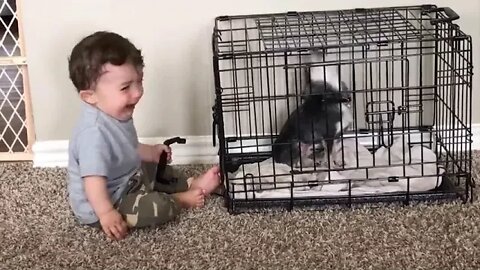 Cute = Babies = Playing = With = Dogs = Compilation = = Funny = Baby And Pets