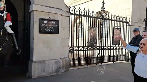 It's wicked making them horses stand for hours #horseguardsparade