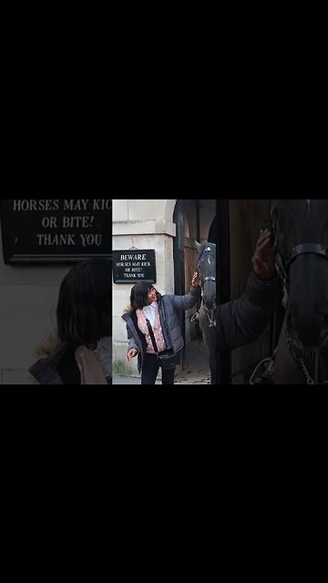 I'm not scared #thekingsguard