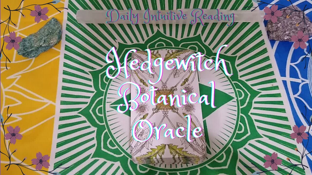 Hedgewitch Botanical Oracle ~ Daily Intuitive Reading ~ Self Interpretation