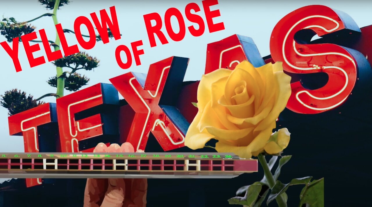 How to Play the Yellow Rose of Texas on a Tremolo Harmonica with 24 Holes