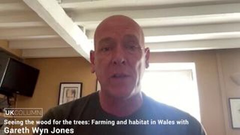 Seeing the wood for the trees: Farming and habitat in Wales with Gareth Wyn Jones