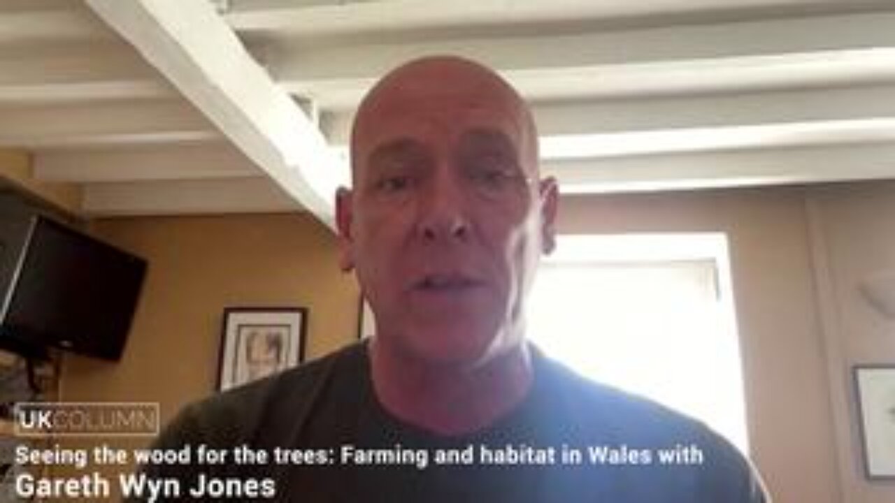 Seeing the wood for the trees: Farming and habitat in Wales with Gareth Wyn Jones