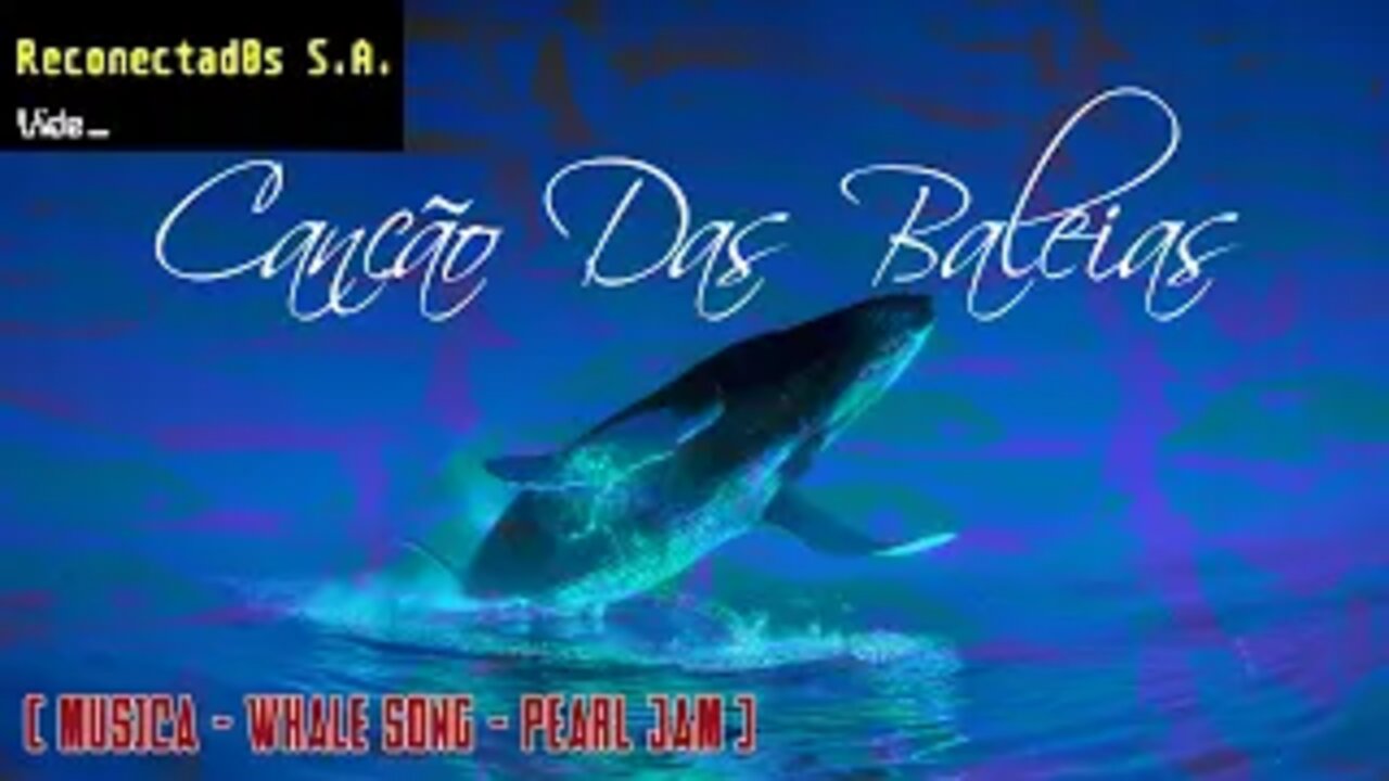 🌟 WHALE SONG- Pearl Jam • videoclip by Zenite : Reconectad0s S.A. (subtitles Portugues Brasil)