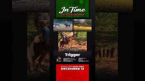 🎀 In Time for Christmas 🎀 - online auction ending Tuesday | December 13th! GROUP 1 - Ponybid.com