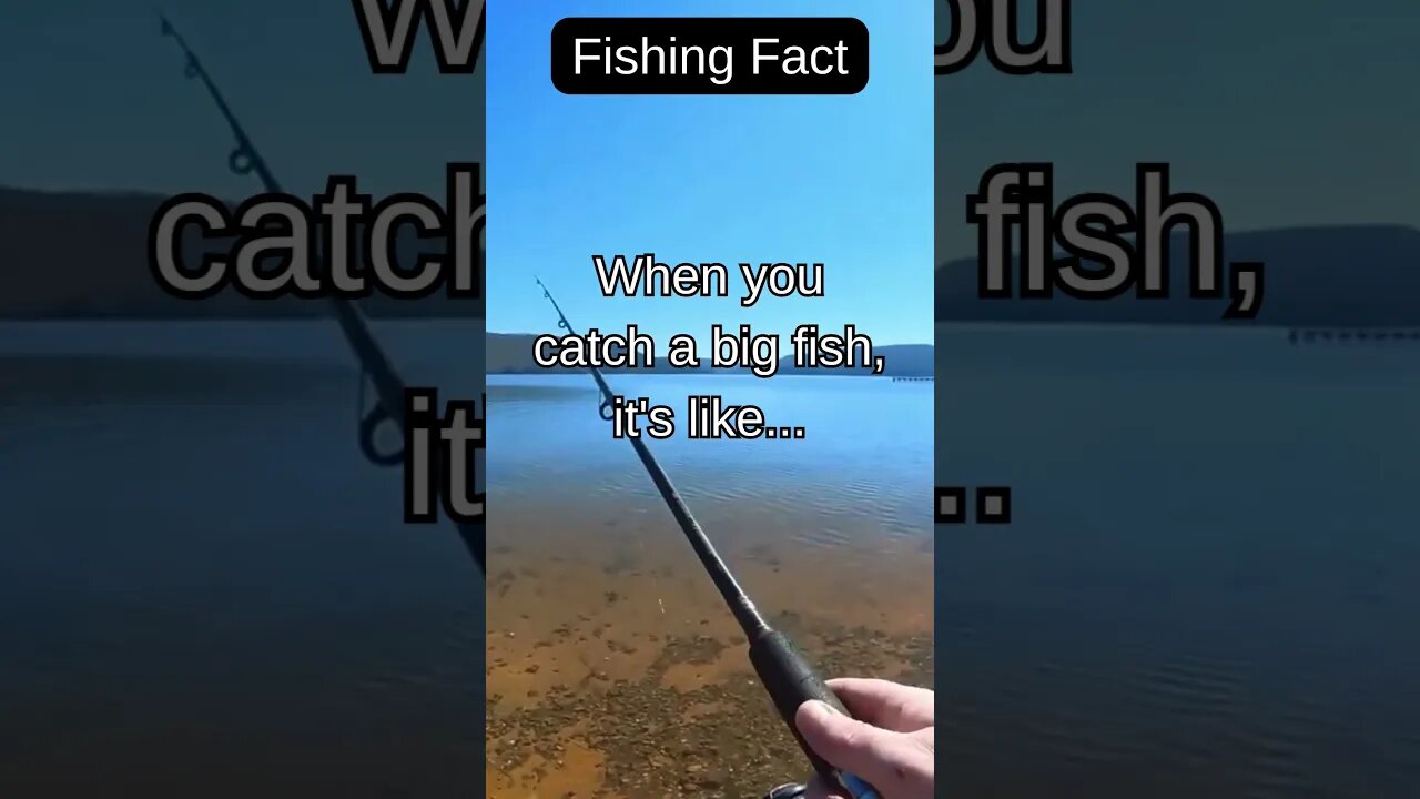 Fishing Facts #shorts #fishing #fishingfanatics