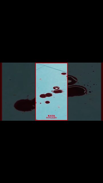 Mario VS Hamza is already becoming a classic 💎