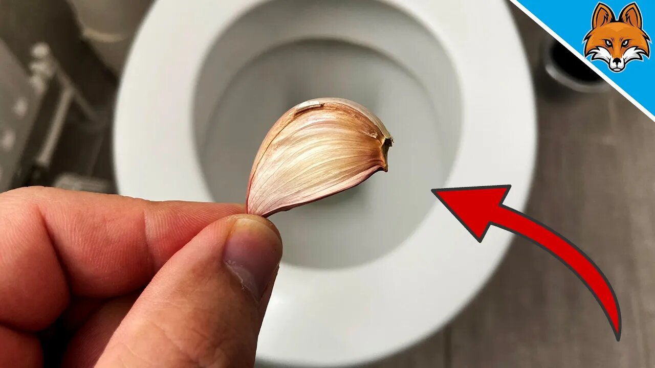 EVERYONE asks me why my Toilet is SO Clean 💥 (THIS is my SECRET) 🤯