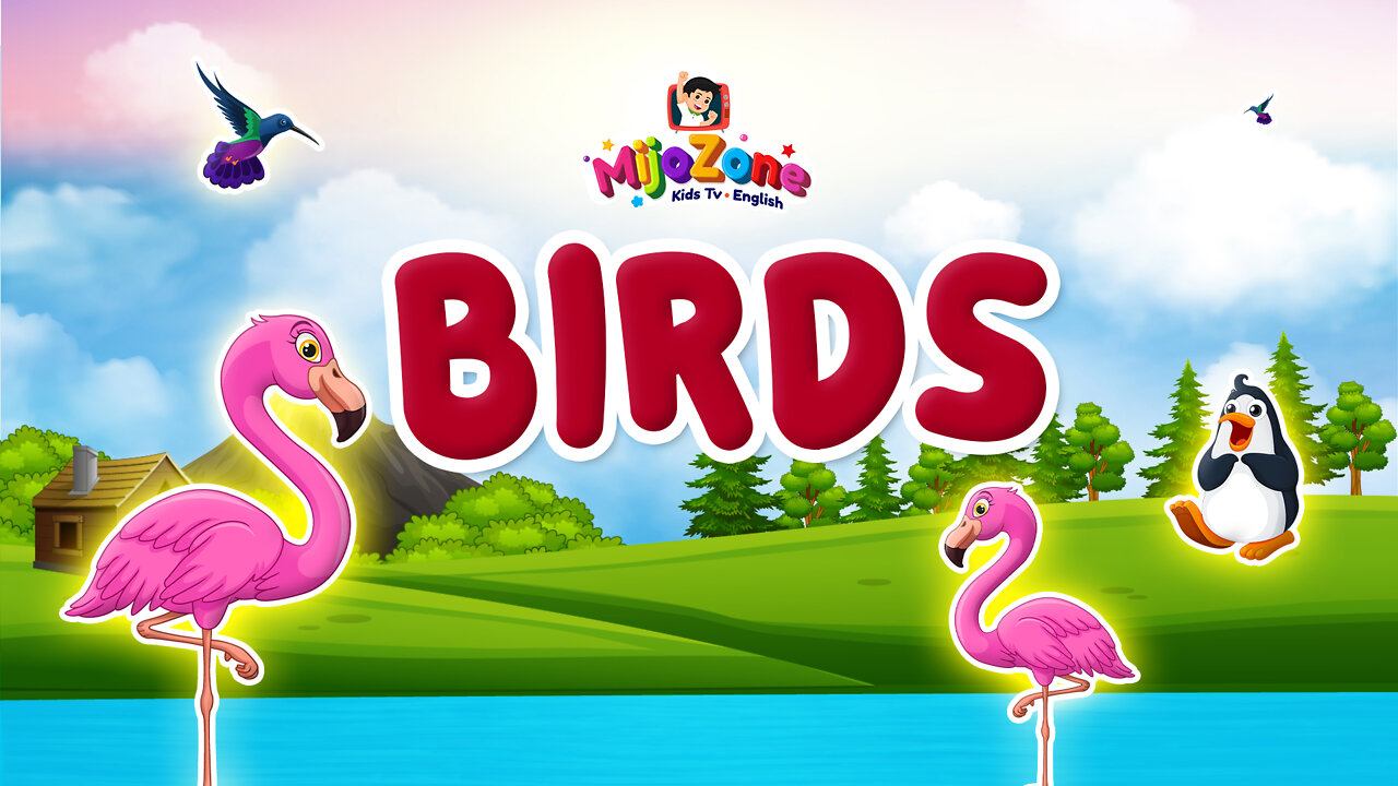 Bird Names for Kids | Learn Birds Names