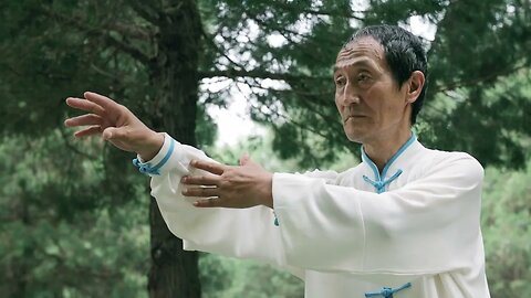 Tai Chi in 4k Martial Arts Video