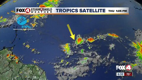 Thursday Evening Tropics Update 8/1