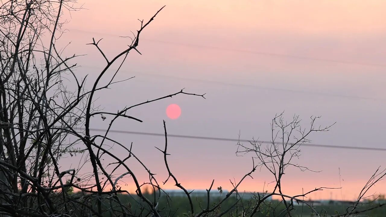 We are safe! Alberta wild fire smoke is crazy! | How to harden off plants | Dismantle the mindbender