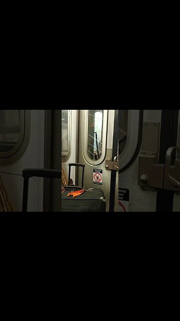#Bodymechanicnyc Lloyd Leary #Playing #INSTRUMENT called #didgeridoo #subway #music #nyc #austria