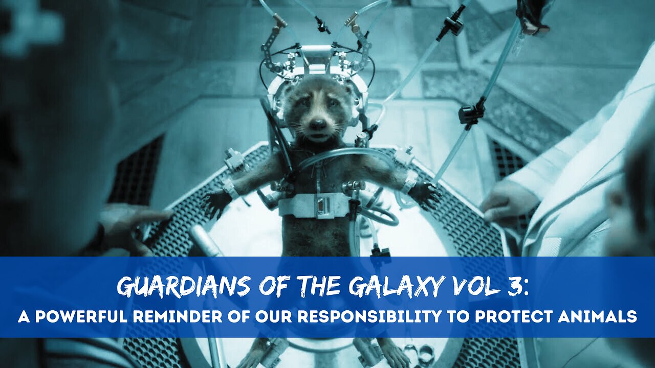 Guardians of the Galaxy Vol 3: A Powerful Reminder of Our Responsibility to Protect Animals