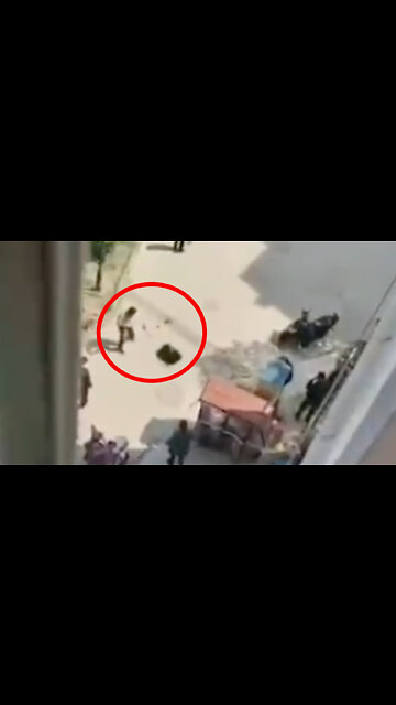 GRAPHIC CONTENT! Dogs are Being Beaten to Death in China