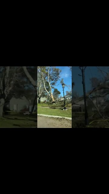 Hurricane Damage at Victoria Park