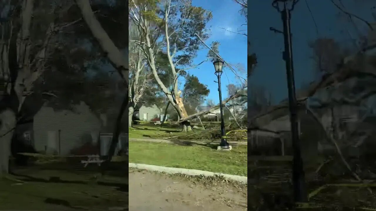 Hurricane Damage at Victoria Park