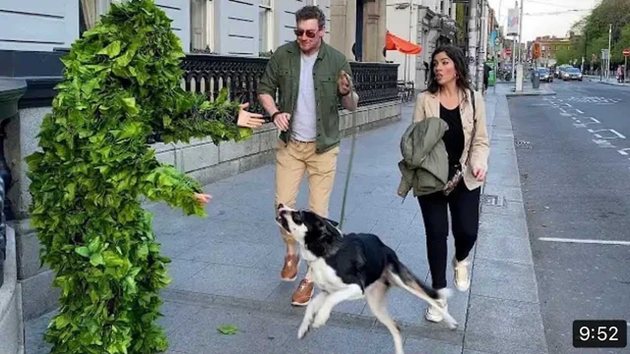 Best of 2022 compilation: you will watch these reactions twice! BUSHMAN PRANK 🧟♀️🌳
