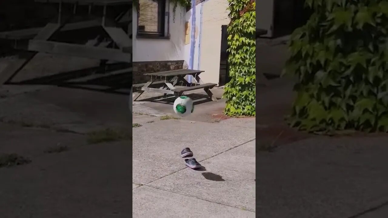 Best funny video #shorts