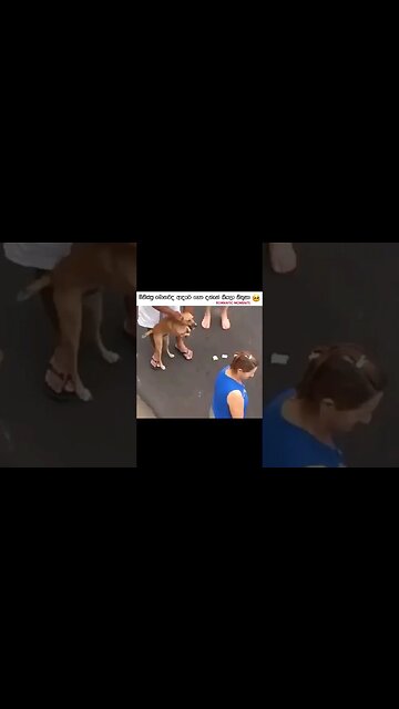 True Love ❤️ #whatsapp_status #youtube #love #shorts