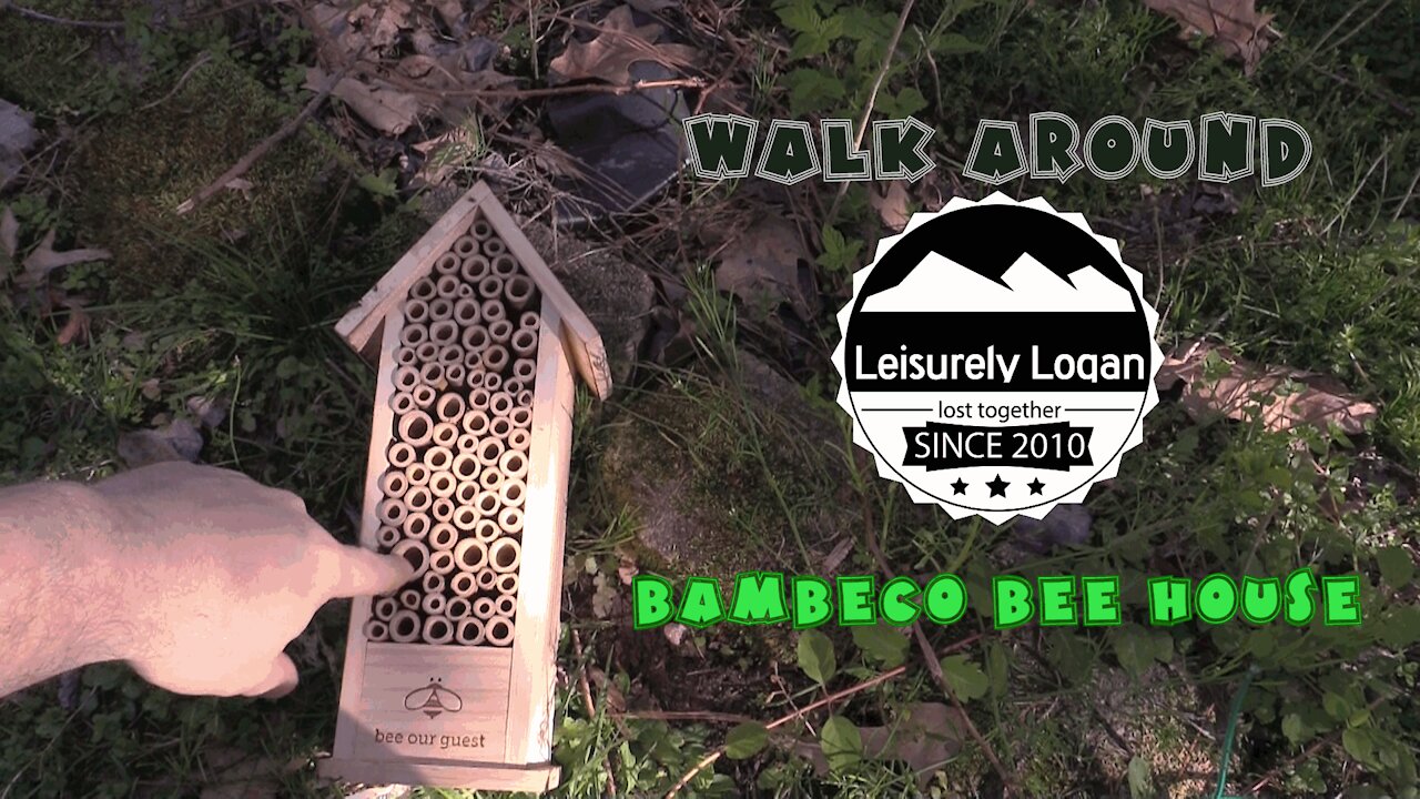 Walk Around : BAMBECO Bee House