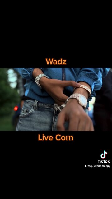 Wadz - Live Corn