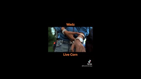 Wadz - Live Corn