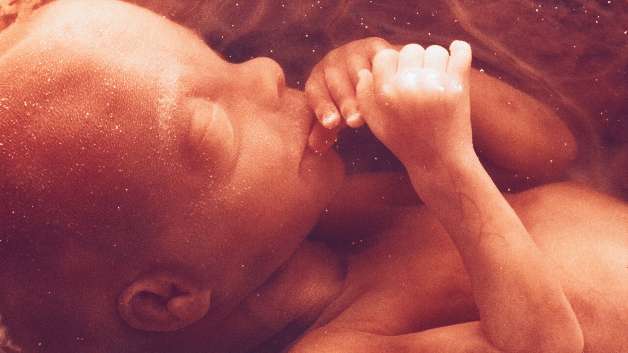 ABORTIONIST SAY: BABY IN THE WOMB HAS NO VALUE | 22.07.2022