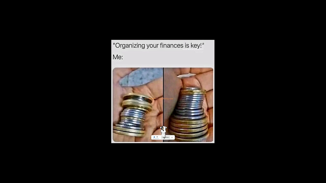 Organize Your Finances