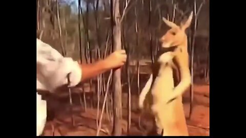 Nothing Could Have Prepared Me For This