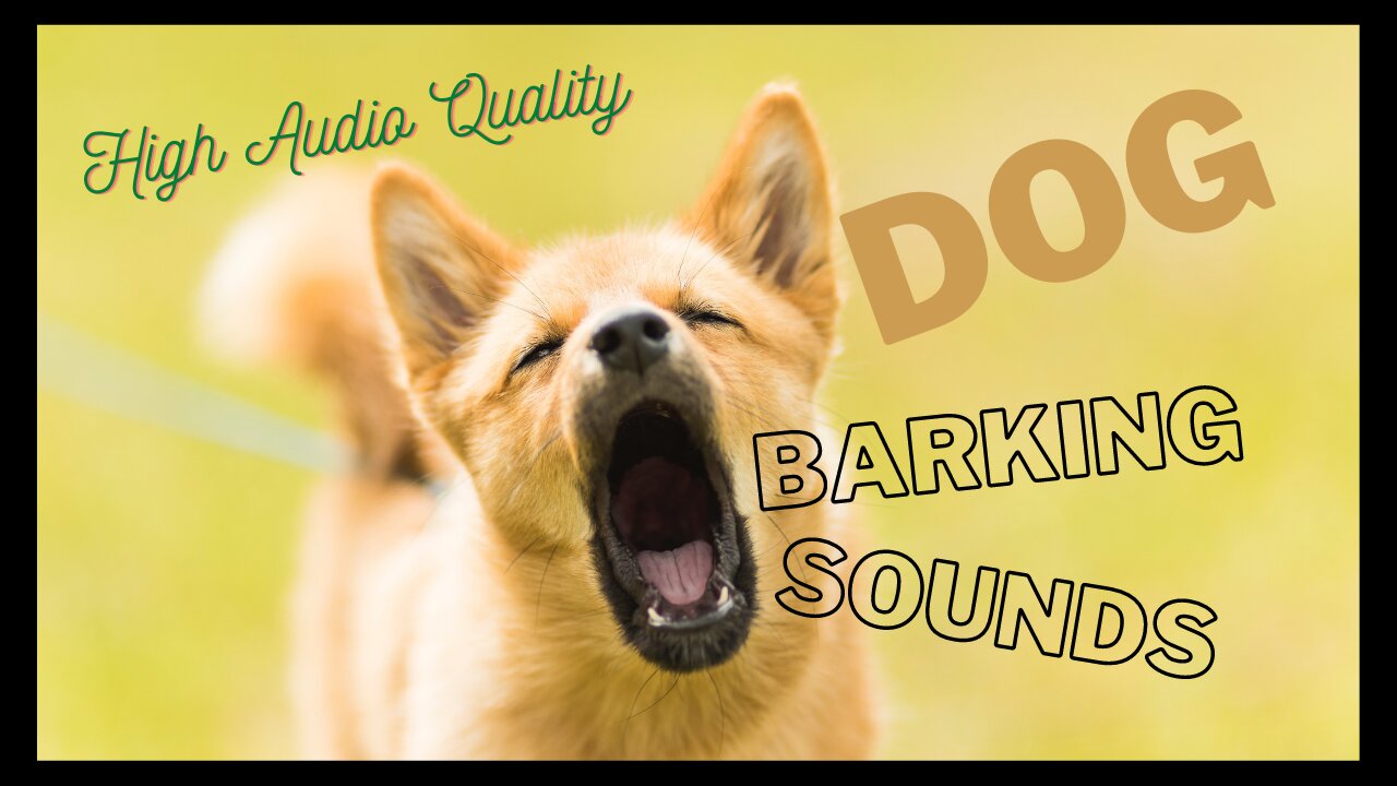 DOG BARKING SOUNDS | High Quality |