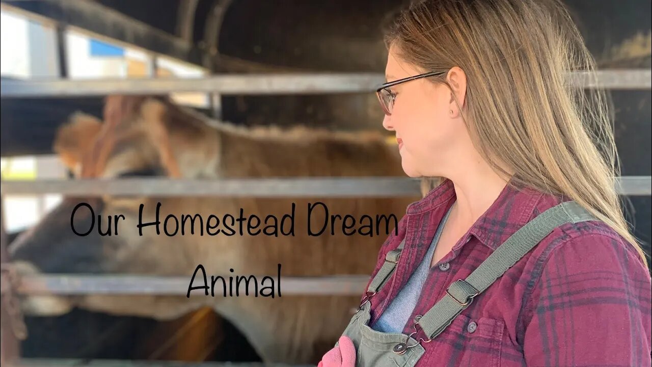 This Takes Our Homestead to the Next Level| Our Homestead Dream Animal Revealed