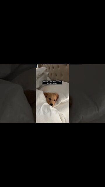 🐶💖💤💖🐶💖💤💖🐶💖💤💖JOIN💝💘💖