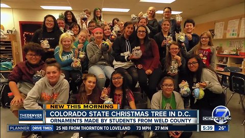 Weld Co. students made ornaments for Colorado tree in DC