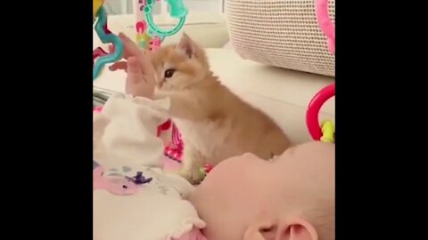 Baby's new best friend is a cat! 😺 | Funny Toy Reaction