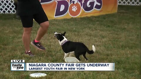 Niagara County Fair gets underway