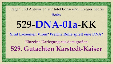 Sind Exosomen Viren? Welche Rolle spielt eine DNA? (529-DNA-01a-KK)