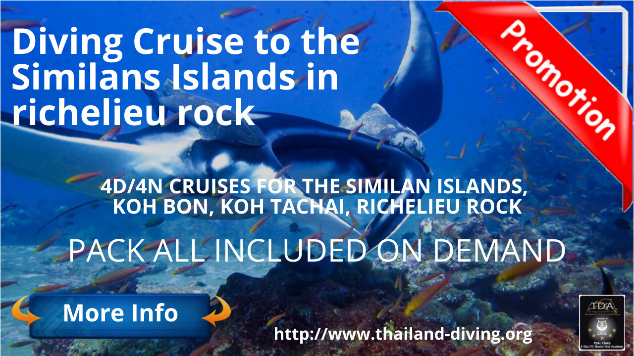 🐋Diving #Cruise to the Similans Islands in Richelieu Rock