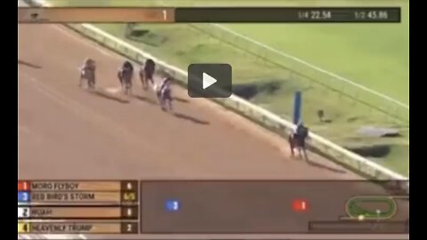 Heavenly TRUMP Wins ✨ after leading horse throws the jockey off￼