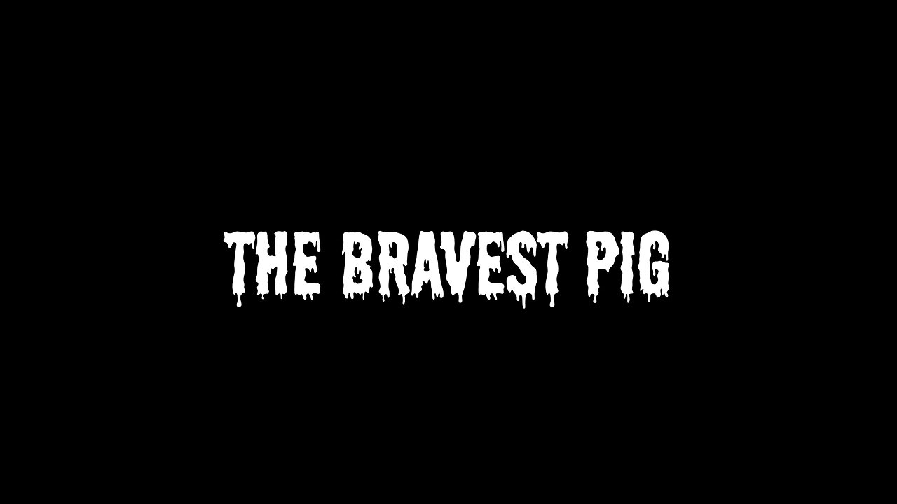 The Bravest Pig