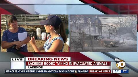 Mother, son rescue 22 horses from West Fire, Lakeside Rodeo takes in evacuated animals