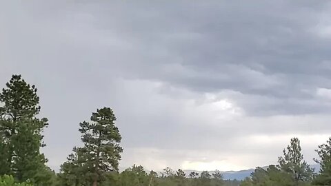 Thunderstorm Warning, Bigfoot Search, Southern Colorado