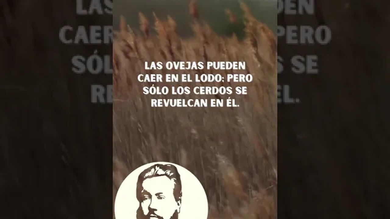 Frase de Charles Spurgeon