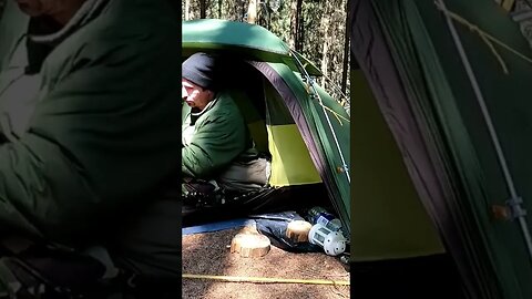 woodland wildcamping