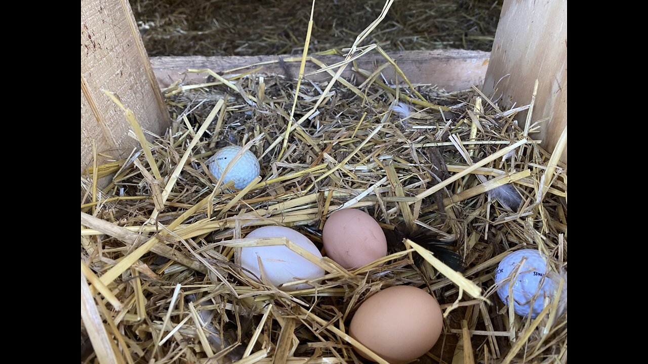 Update on @Stoney Ridge Farmer's Golf Ball Hack