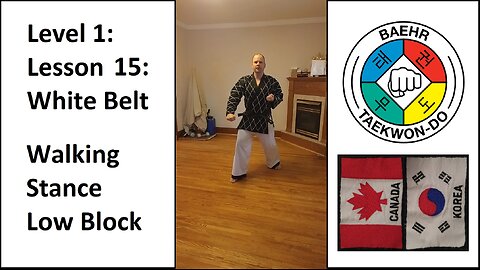 Baehr Taekwondo: 01-15: White Belt: Walking Stance - Low Block