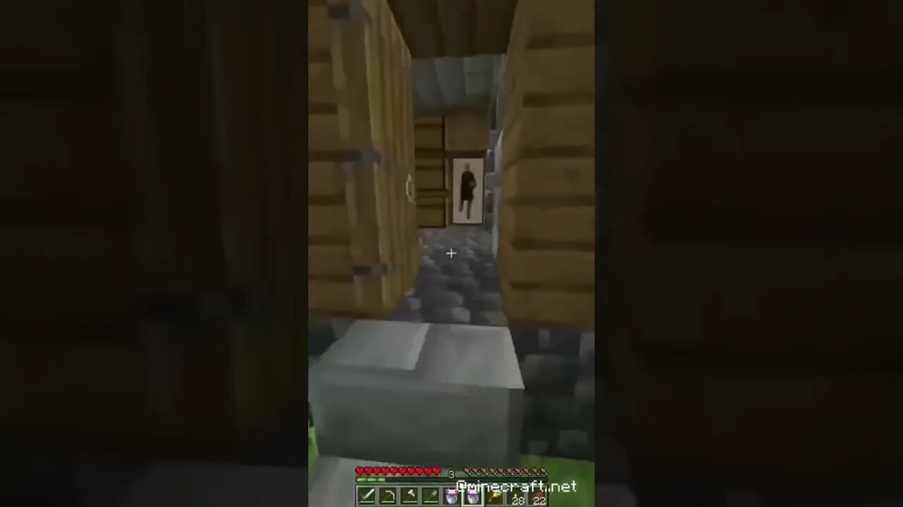 Minecraft #Shorts