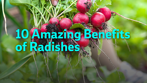 10 Amazing Benefits of Radishes